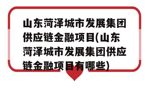 山东菏泽城市发展集团供应链金融项目(山东菏泽城市发展集团供应链金融项目有哪些)