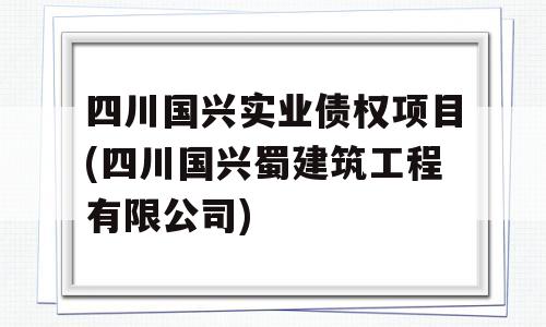 四川国兴实业债权项目(四川国兴蜀建筑工程有限公司)