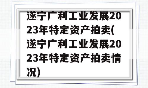 遂宁广利工业发展2023年特定资产拍卖(遂宁广利工业发展2023年特定资产拍卖情况)