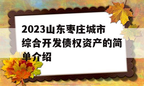 2023山东枣庄城市综合开发债权资产的简单介绍