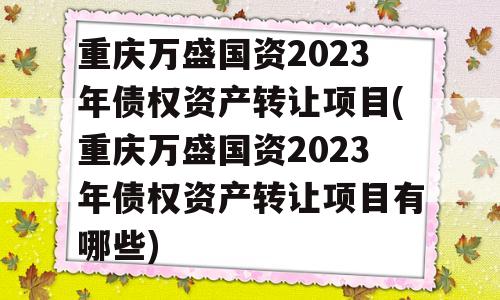 重庆万盛国资2023年债权资产转让项目(重庆万盛国资2023年债权资产转让项目有哪些)