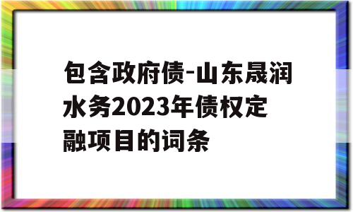 包含政府债-山东晟润水务2023年债权定融项目的词条