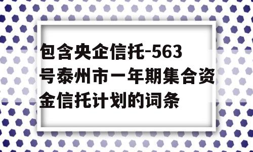 包含央企信托-563号泰州市一年期集合资金信托计划的词条