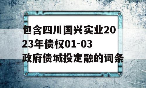 包含四川国兴实业2023年债权01-03政府债城投定融的词条