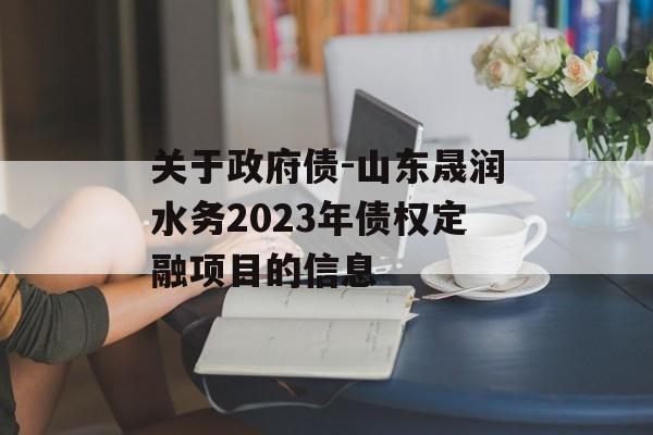 关于政府债-山东晟润水务2023年债权定融项目的信息