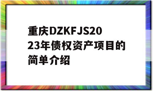 重庆DZKFJS2023年债权资产项目的简单介绍