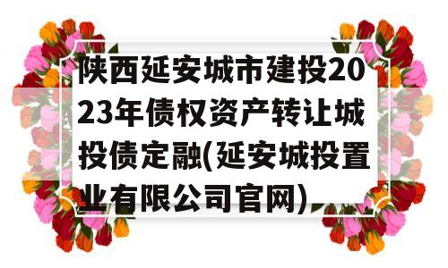 陕西延安城市建投2023年债权资产转让城投债定融(延安城投置业有限公司官网)