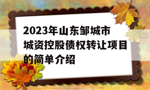 2023年山东邹城市城资控股债权转让项目的简单介绍