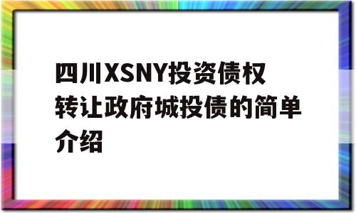 四川XSNY投资债权转让政府城投债的简单介绍