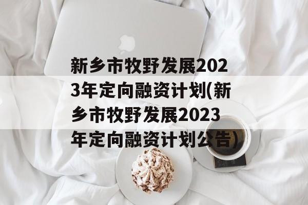 新乡市牧野发展2023年定向融资计划(新乡市牧野发展2023年定向融资计划公告)