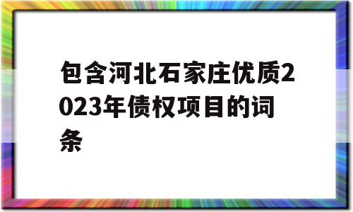 包含河北石家庄优质2023年债权项目的词条