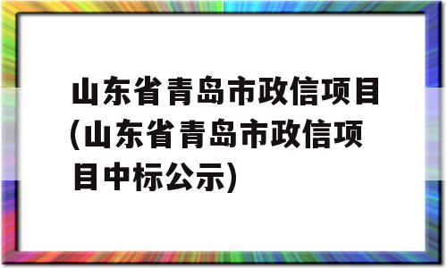 山东省青岛市政信项目(山东省青岛市政信项目中标公示)