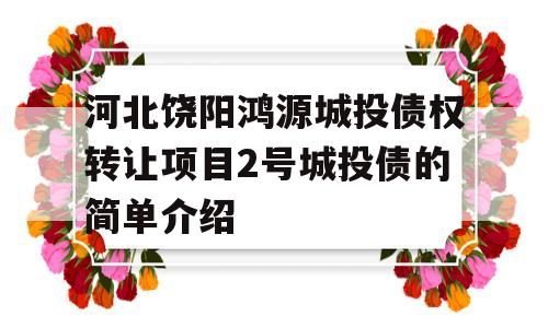 河北饶阳鸿源城投债权转让项目2号城投债的简单介绍