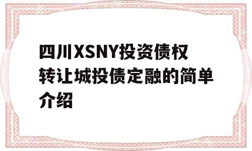 四川XSNY投资债权转让城投债定融的简单介绍