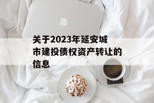 关于2023年延安城市建投债权资产转让的信息