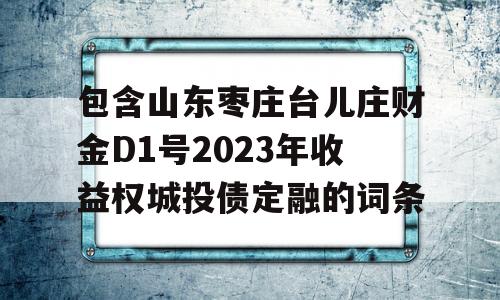 包含山东枣庄台儿庄财金D1号2023年收益权城投债定融的词条