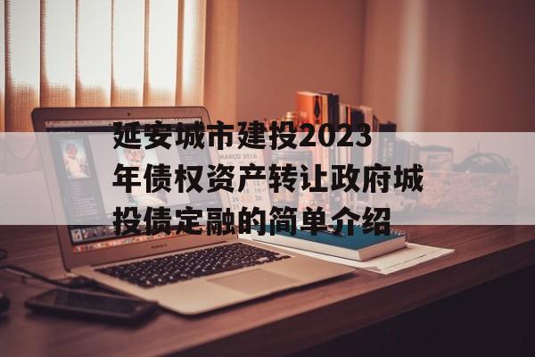 延安城市建投2023年债权资产转让政府城投债定融的简单介绍