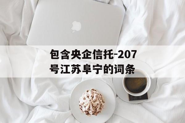 包含央企信托-207号江苏阜宁的词条