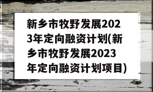 新乡市牧野发展2023年定向融资计划(新乡市牧野发展2023年定向融资计划项目)