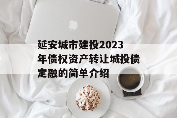 延安城市建投2023年债权资产转让城投债定融的简单介绍