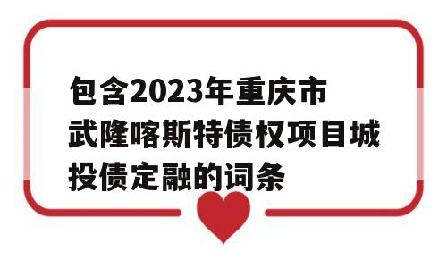 包含2023年重庆市武隆喀斯特债权项目城投债定融的词条