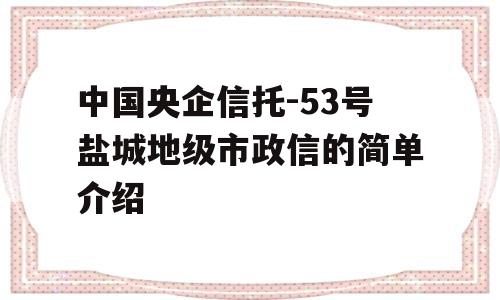 中国央企信托-53号盐城地级市政信的简单介绍