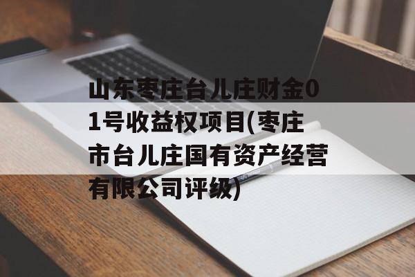 山东枣庄台儿庄财金01号收益权项目(枣庄市台儿庄国有资产经营有限公司评级)