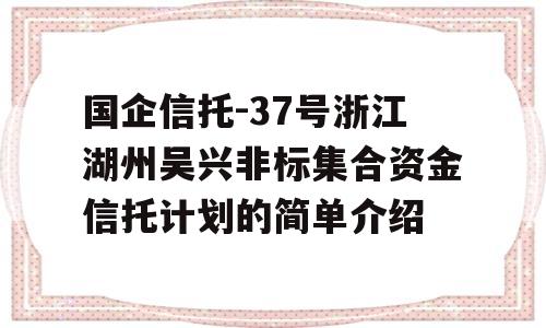 国企信托-37号浙江湖州吴兴非标集合资金信托计划的简单介绍