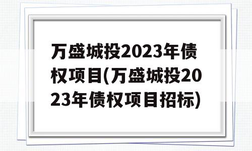 万盛城投2023年债权项目(万盛城投2023年债权项目招标)