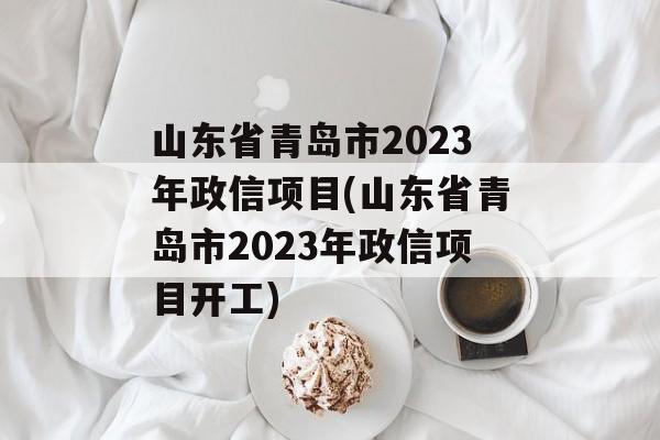 山东省青岛市2023年政信项目(山东省青岛市2023年政信项目开工)