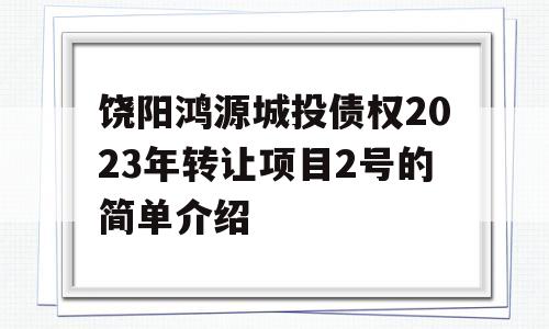 饶阳鸿源城投债权2023年转让项目2号的简单介绍