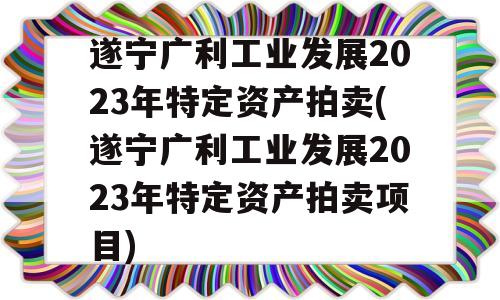 遂宁广利工业发展2023年特定资产拍卖(遂宁广利工业发展2023年特定资产拍卖项目)