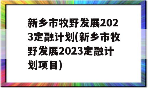 新乡市牧野发展2023定融计划(新乡市牧野发展2023定融计划项目)