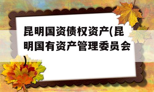 昆明国资债权资产(昆明国有资产管理委员会)