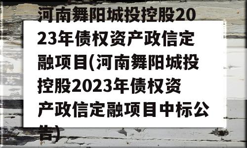 河南舞阳城投控股2023年债权资产政信定融项目(河南舞阳城投控股2023年债权资产政信定融项目中标公告)