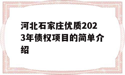 河北石家庄优质2023年债权项目的简单介绍