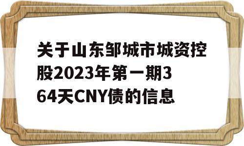 关于山东邹城市城资控股2023年第一期364天CNY债的信息