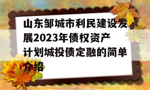 山东邹城市利民建设发展2023年债权资产计划城投债定融的简单介绍