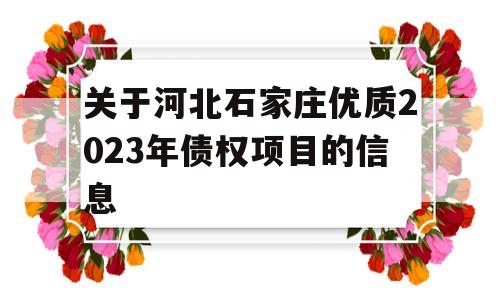 关于河北石家庄优质2023年债权项目的信息