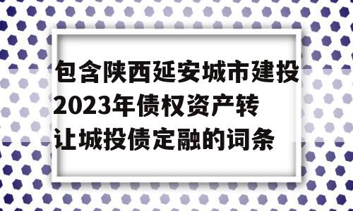 包含陕西延安城市建投2023年债权资产转让城投债定融的词条