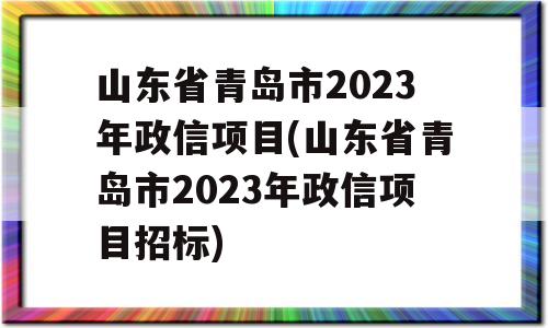 山东省青岛市2023年政信项目(山东省青岛市2023年政信项目招标)