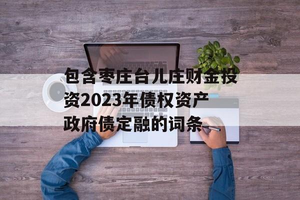 包含枣庄台儿庄财金投资2023年债权资产政府债定融的词条