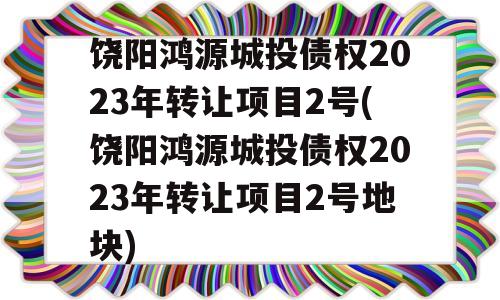 饶阳鸿源城投债权2023年转让项目2号(饶阳鸿源城投债权2023年转让项目2号地块)