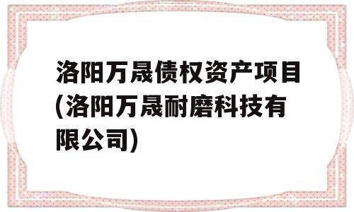 洛阳万晟债权资产项目(洛阳万晟耐磨科技有限公司)