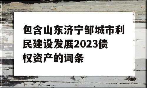 包含山东济宁邹城市利民建设发展2023债权资产的词条