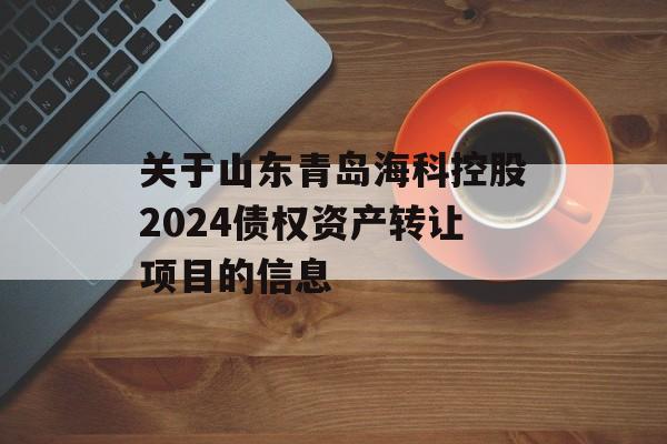 关于山东青岛海科控股2024债权资产转让项目的信息