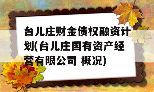 台儿庄财金债权融资计划(台儿庄国有资产经营有限公司 概况)