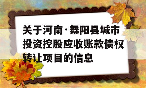 关于河南·舞阳县城市投资控股应收账款债权转让项目的信息