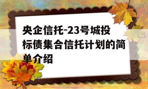 央企信托-23号城投标债集合信托计划的简单介绍