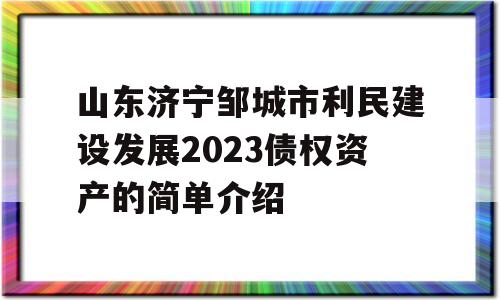 山东济宁邹城市利民建设发展2023债权资产的简单介绍